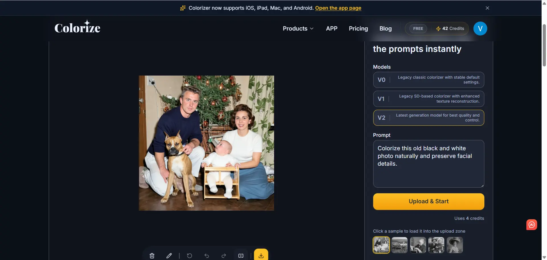 imagecolorizer editing