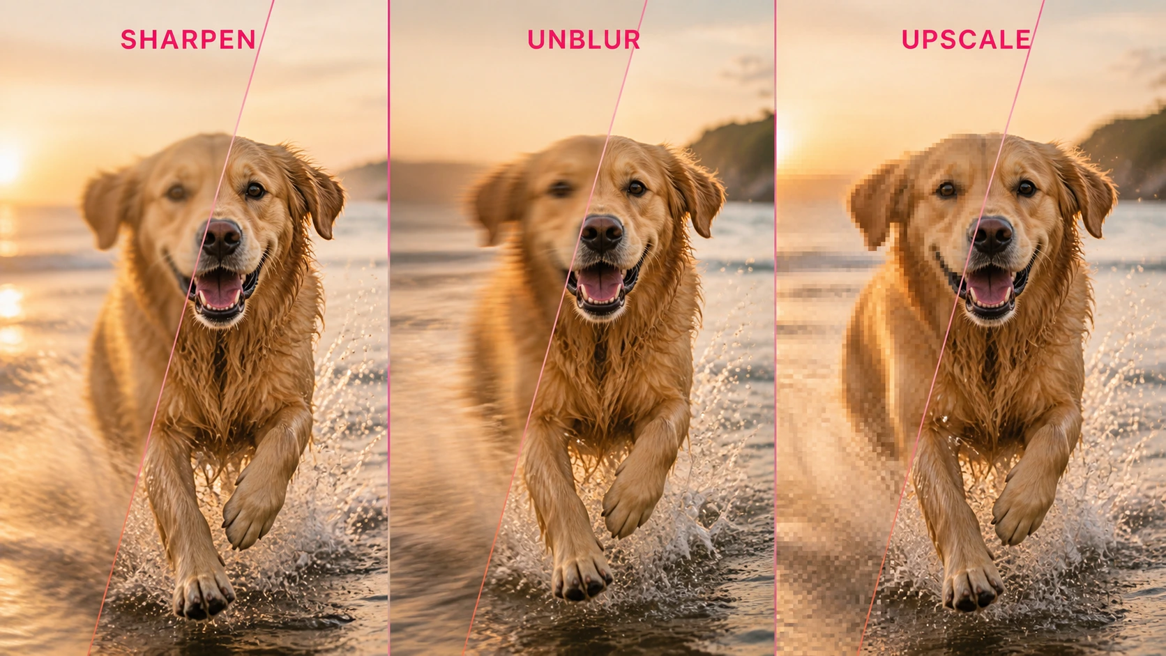 Comparação de nitidez, remoção de desfoque e ampliação em um cachorro correndo com borrão de movimento
