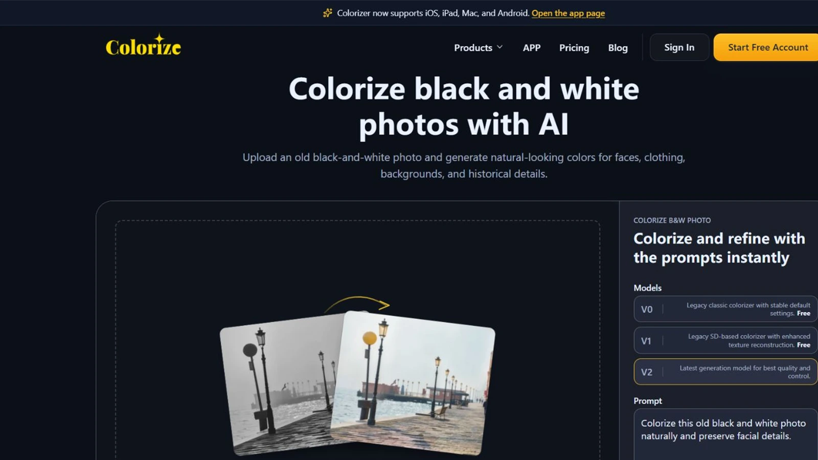 Model dan kontrol prompt ImageColorizer