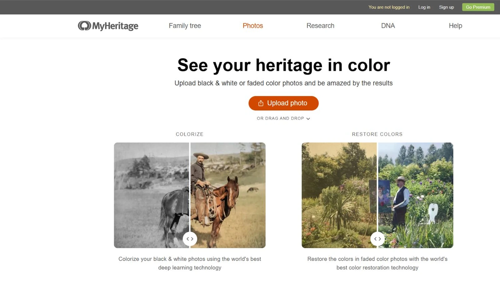 Alat MyHeritage untuk pewarnaan dan pemulihan